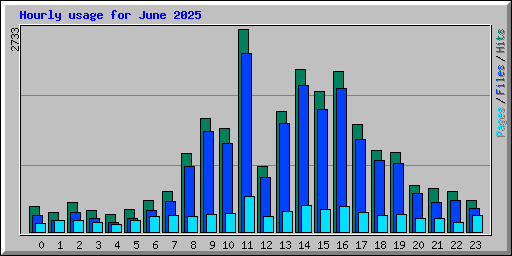 Hourly usage for June 2025